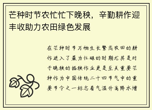 芒种时节农忙忙下晚秧，辛勤耕作迎丰收助力农田绿色发展